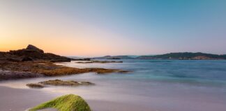 Ile za godzinę pracy na umowę zlecenie?