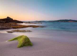 Ile za godzinę pracy na umowę zlecenie?