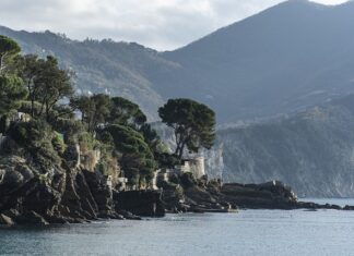 Ile kosztuje jedna karetka?