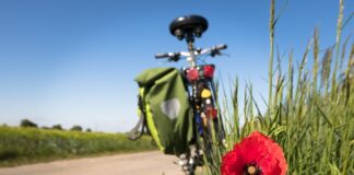 Jak zachęcić ludzi do aktywności fizycznej?