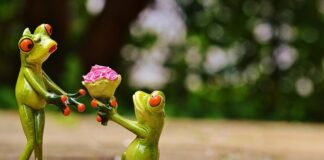 Kiedy OC a kiedy AC?