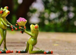 Kiedy OC a kiedy AC?