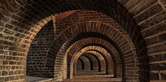 Jakie były zainteresowania Alka?