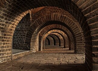 Jakie były zainteresowania Alka?