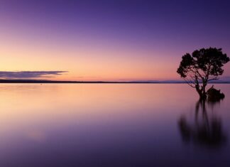 Jak pomóc dziecku które czuję się samotna?
