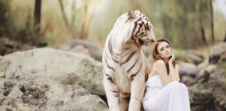 Ile trwa ochrona tymczasową w Ochrona+?