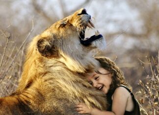 Jaka jest najlepsza firma ubezpieczeniowa?