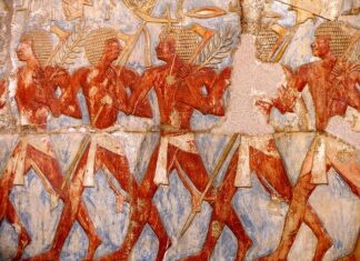 Czy można nie stosować ulgi podatkowej?