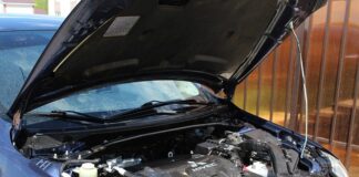 Ile waży Mitsubishi Grandis?