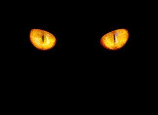 Jaka barwa światła w garażu?