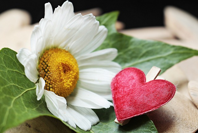 Jak Rozruszać zapieczony zacisk hamulcowy? Jak Rozruszać zapieczony zacisk hamulcowy?