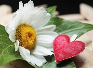 Czy warto pomalować zaciski hamulcowe?