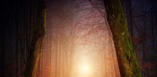 Jakie oświetlenie wybrać do garażu?