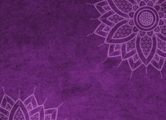 Jaki mandat za brak jednego światła 2023? Jaki mandat za brak jednego światła 2023?