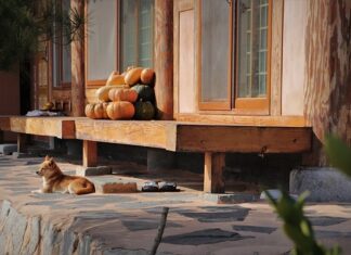 Co to jest UX w samochodzie? Co to jest UX w samochodzie?