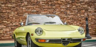 Kto jest właścicielem Alfa Romeo?