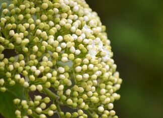 Czy warto założyć tuleje poliuretanowe?