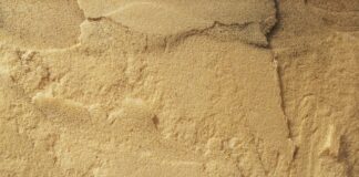 Czy poliuretan skrzypi?