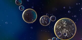 Od czego skrzypi zawieszenie?