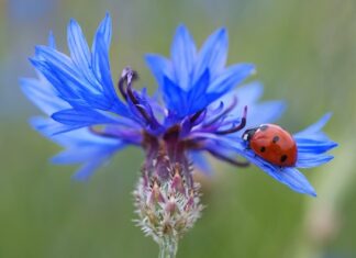 Ile punktów świetlnych na m2?