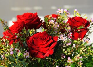 Ile kosztuje najdroższy model Lexusa? Ile kosztuje najdroższy model Lexusa?