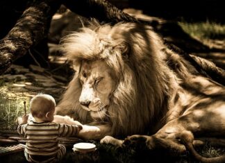 Jak zdjąć zablokowany bęben hamulcowy? Jak zdjąć zablokowany bęben hamulcowy?